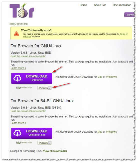 Скачать Tor с официального сайта